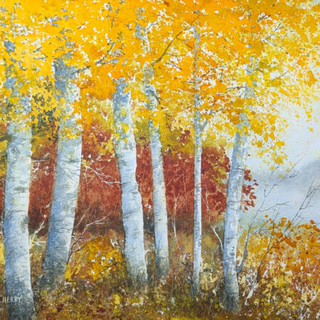 Aspen Glow