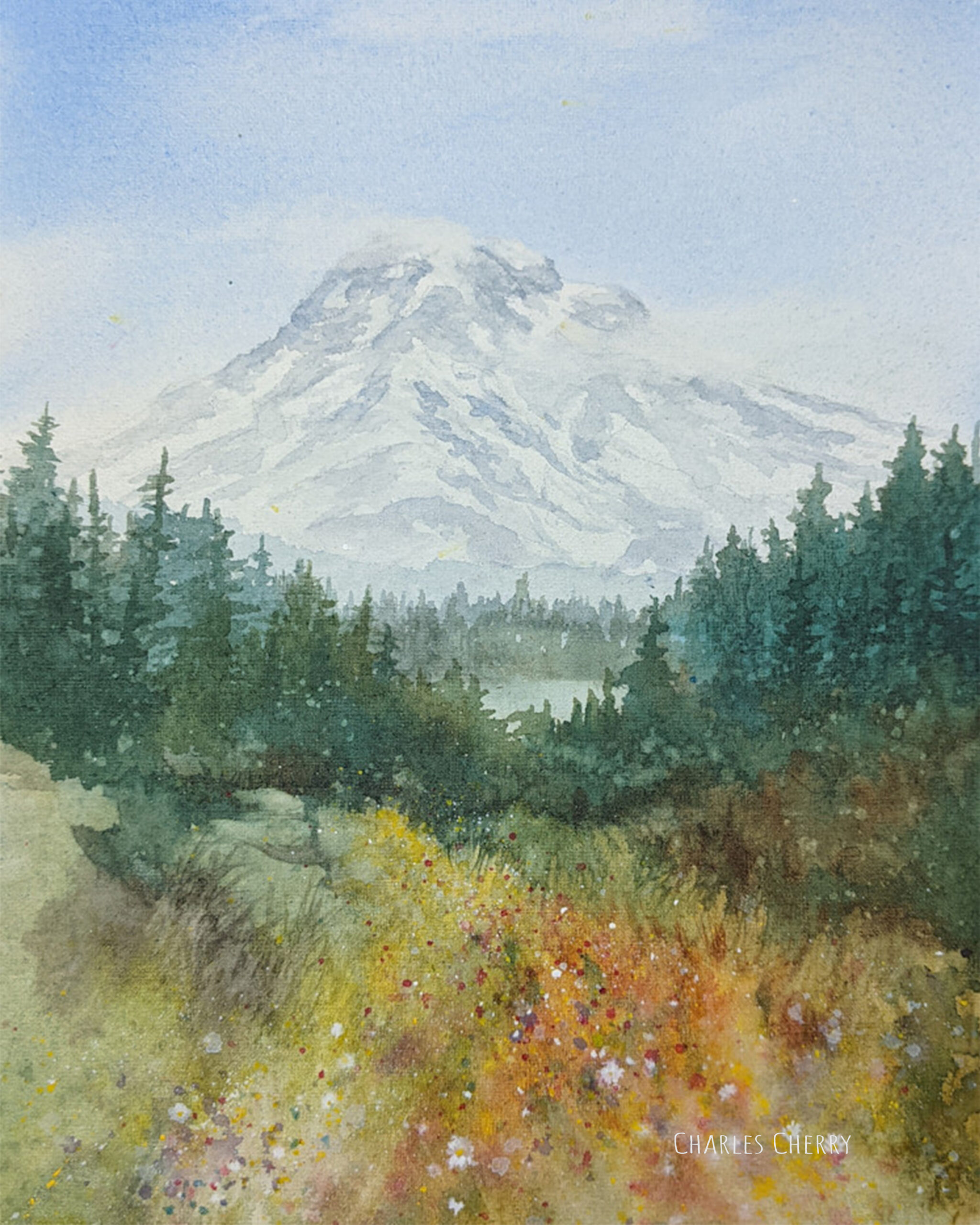 Rainier View