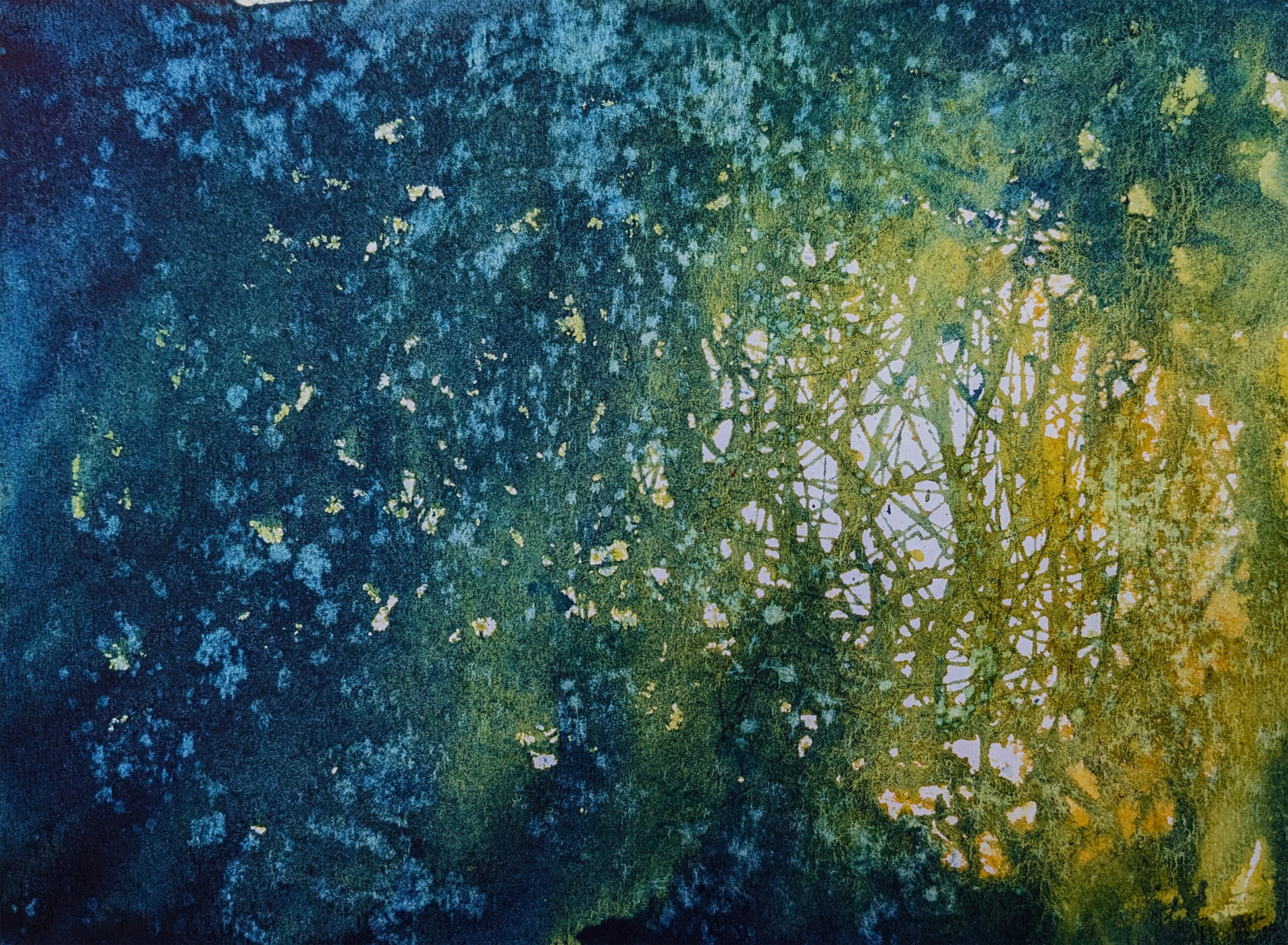 Tangled Light